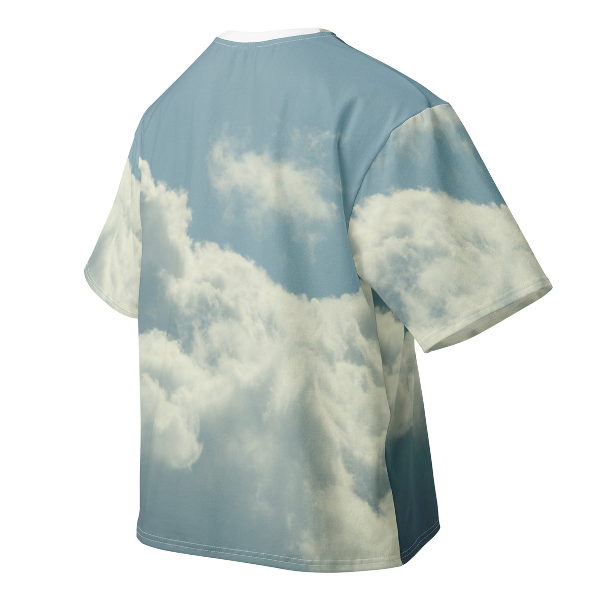 Step Into The Zone oversized cotton t-shirt back— Le Van Kamp Studio