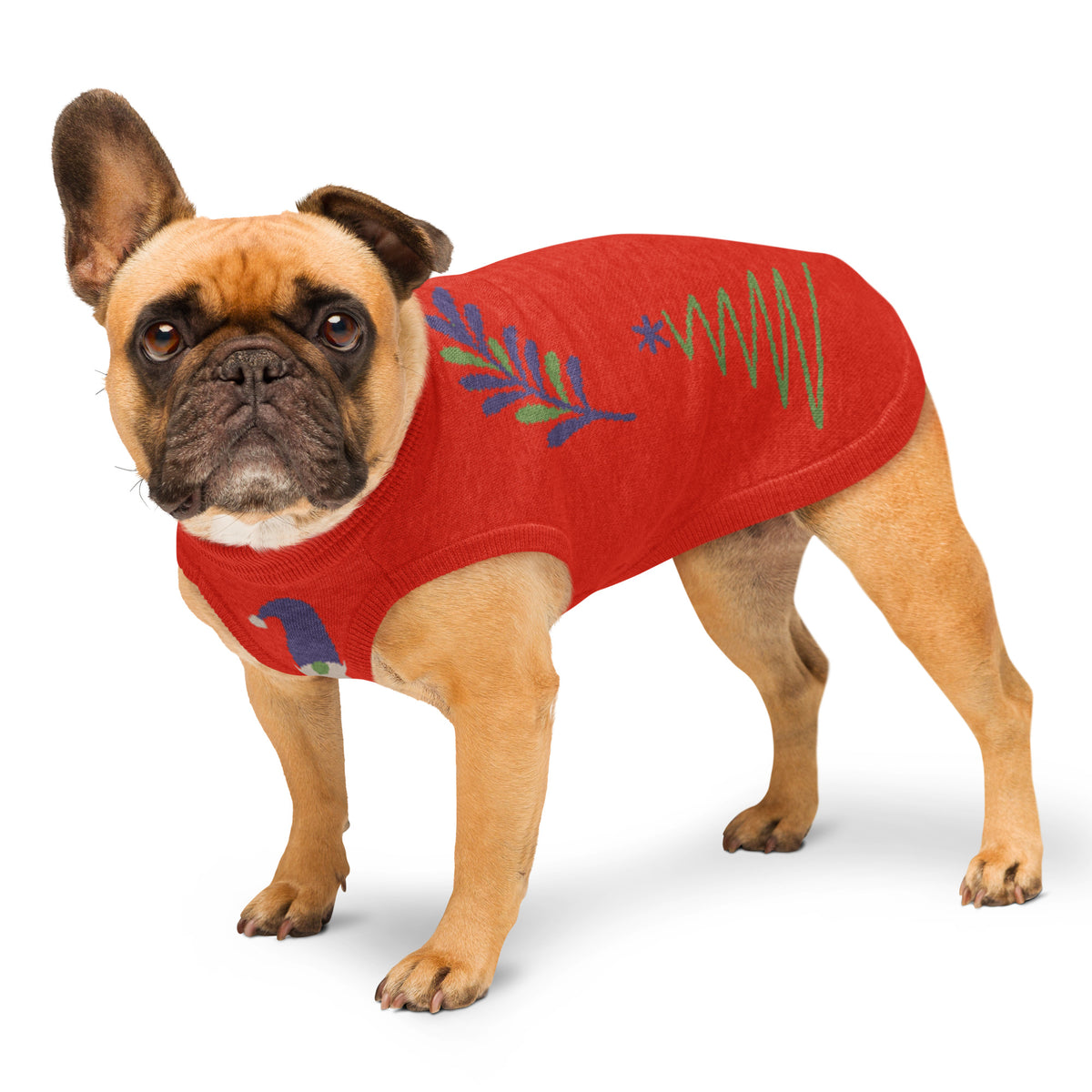 Dog wearing a red sweater with colorful patterns on a white background