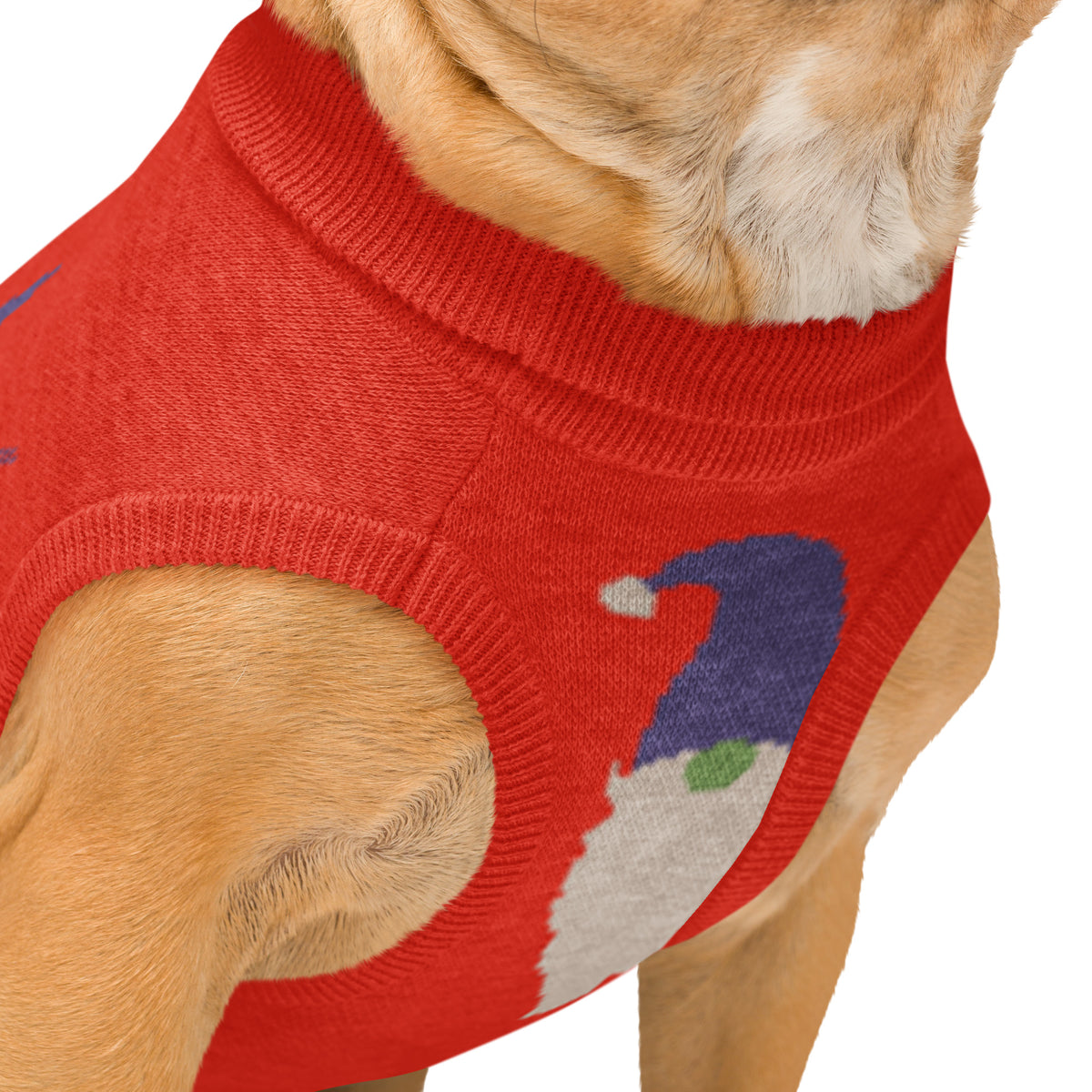 Dog wearing a red sweater with a Santa Claus design on a white background