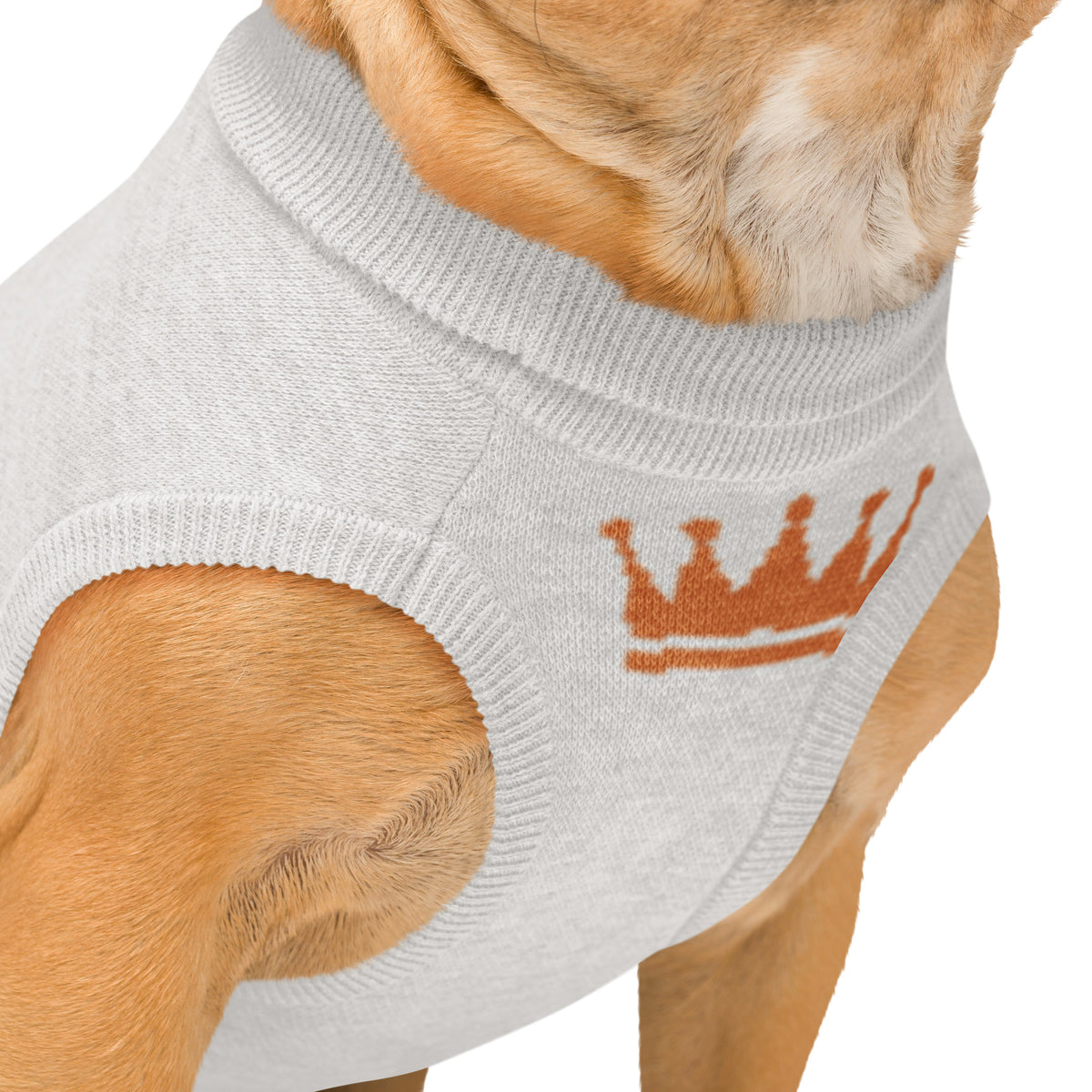 Knitted KING pet sweater detail — Le Van Kamp Studio